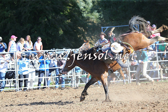 Taralga2015_5447