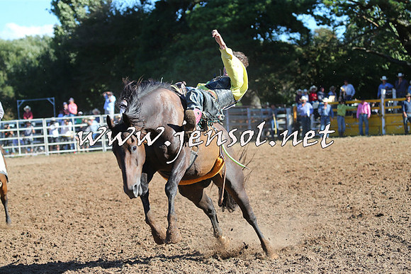 Taralga2015_5516