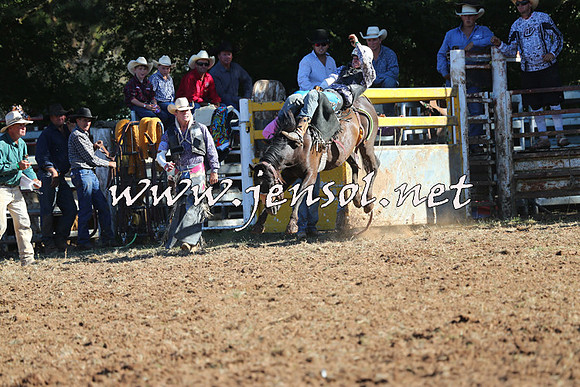 Taralga2015_5832
