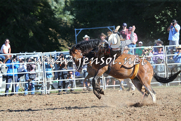 Taralga2015_5445