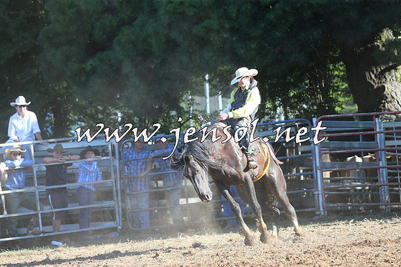 Taralga2015_5811