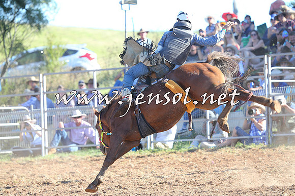 Taralga2015_5654