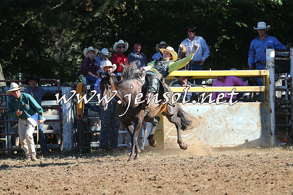 Taralga2015_5466
