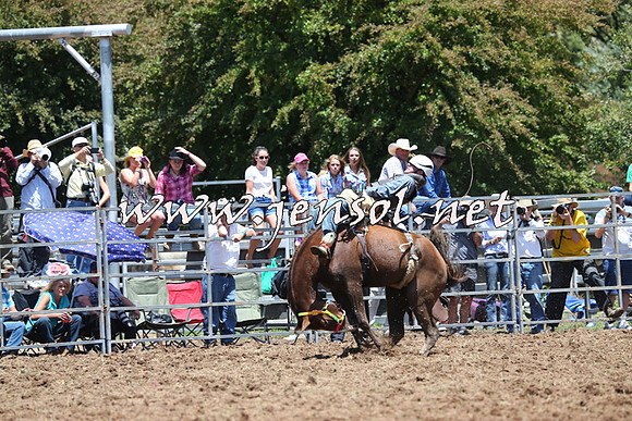 Taralga2015_3706