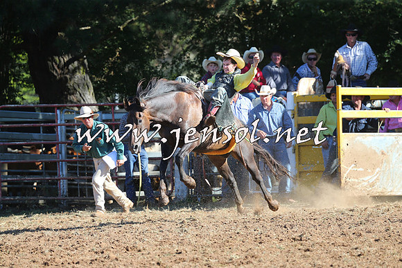 Taralga2015_5480
