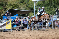 Taralga2015_3696