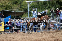 Taralga2015_3695