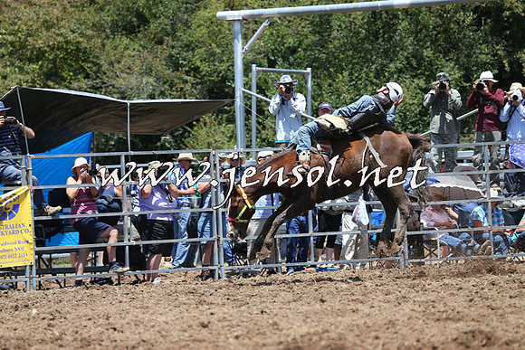 Taralga2015_3695