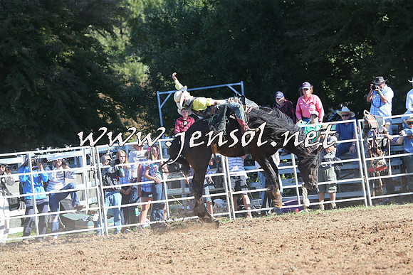 Taralga2015_5795