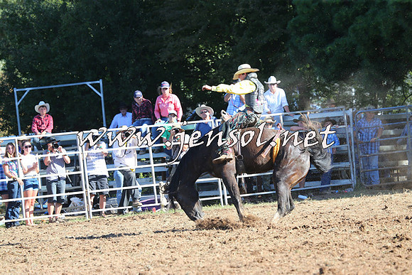 Taralga2015_5770