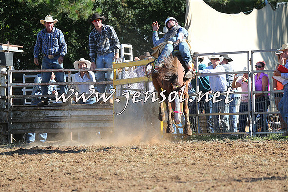 Taralga2015_5611
