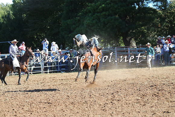 Taralga2015_5555