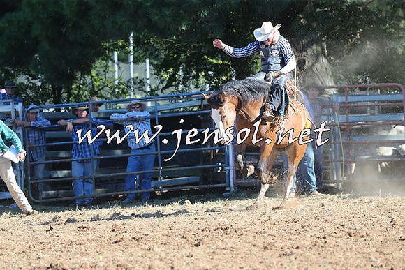 Taralga2015_5438
