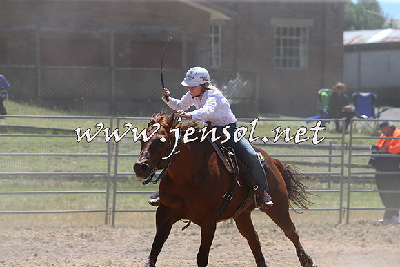 MossVale2015_2023-1
