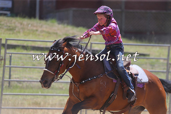 MossVale2015_1950-1