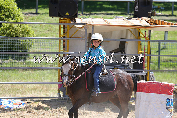 MossVale2015_1919-1