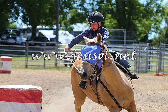 MossVale2015_1893-1