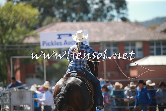 QueanbeyanRodeo2016_4566