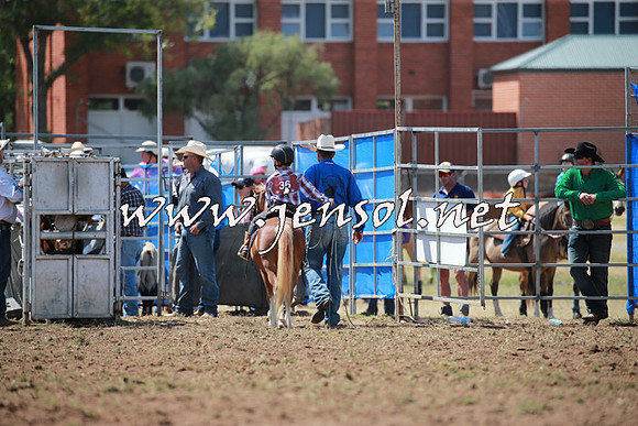 QueanbeyanRodeo2016_5222