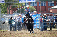 QueanbeyanRodeo2016_4558