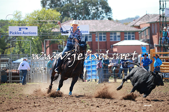 QueanbeyanRodeo2016_4562