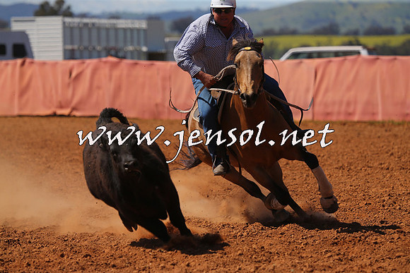 IllaboCampdraft2015_5286