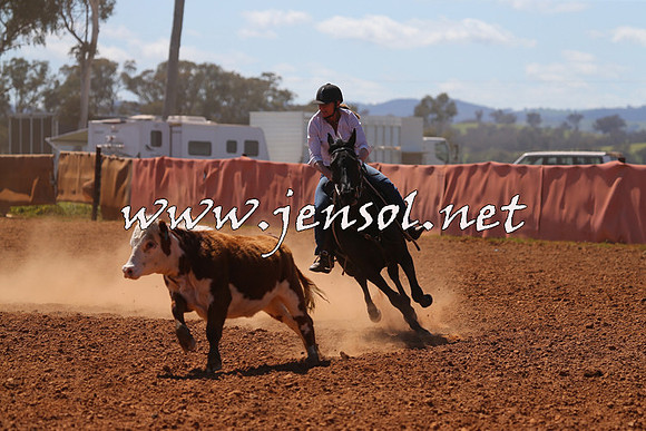 IllaboCampdraft2015_5030