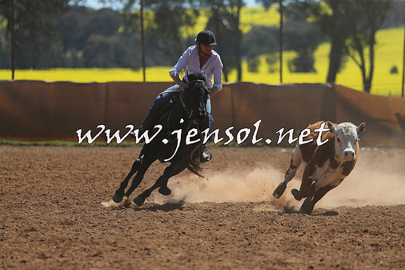 IllaboCampdraft2015_5038