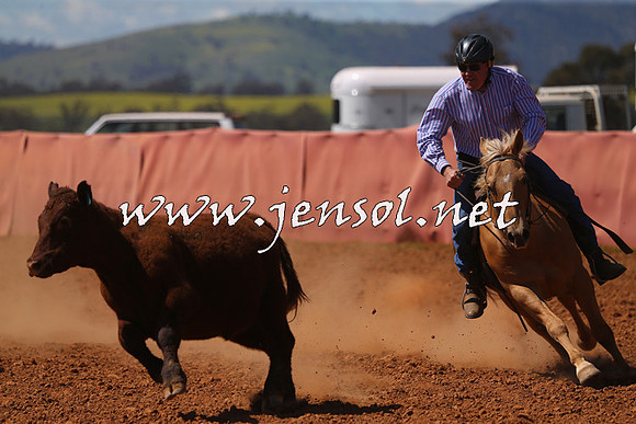 IllaboCampdraft2015_5321