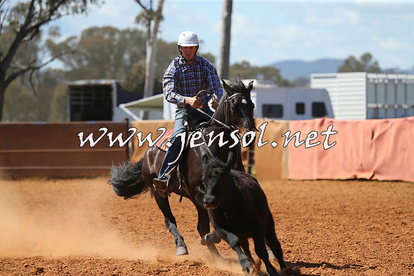 IllaboCampdraft2015_5316