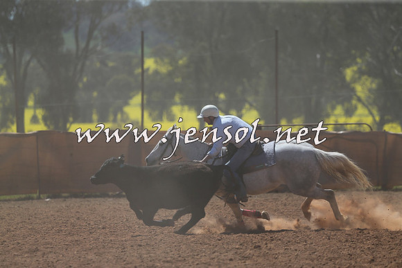 IllaboCampdraft2015_5258