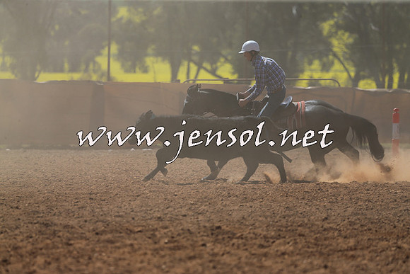 IllaboCampdraft2015_5317