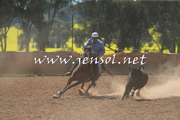 IllaboCampdraft2015_5269