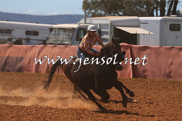 IllaboCampdraft2015_5078