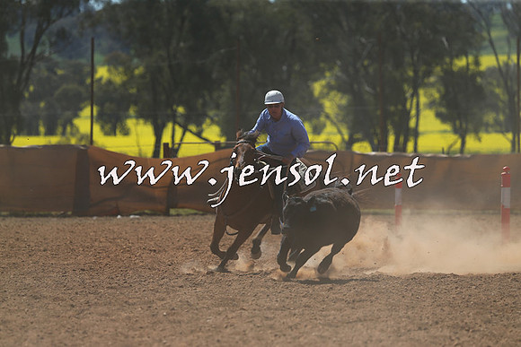 IllaboCampdraft2015_5272