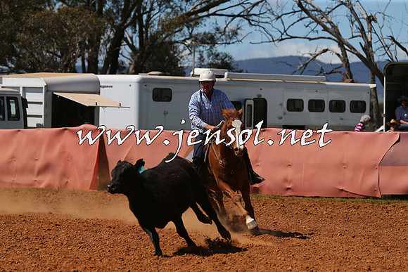 IllaboCampdraft2015_5300