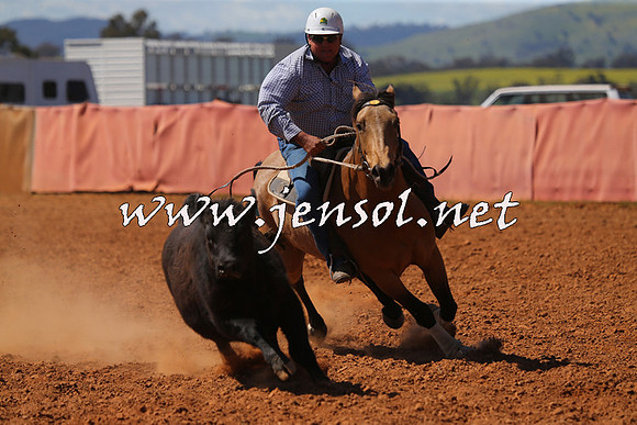 IllaboCampdraft2015_5287