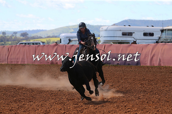 IllaboCampdraft2015_5163