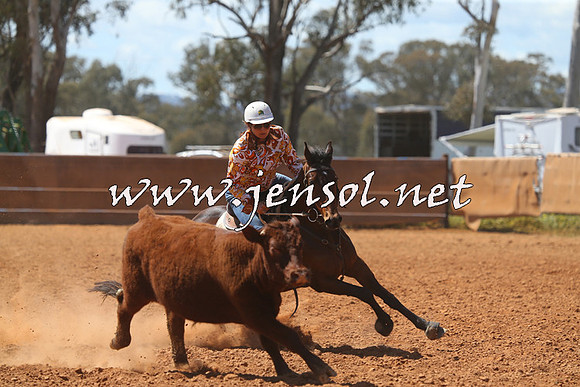 IllaboCampdraft2015_5216