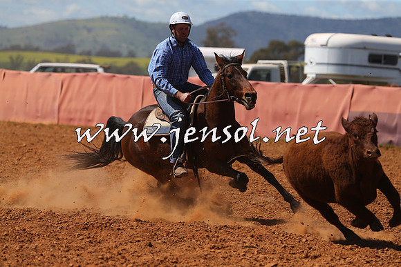 IllaboCampdraft2015_5275
