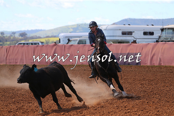 IllaboCampdraft2015_5160