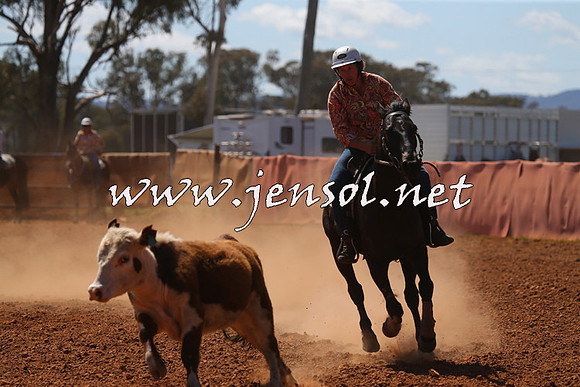 IllaboCampdraft2015_5056