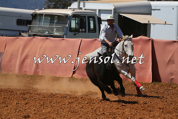 IllaboCampdraft2015_5252