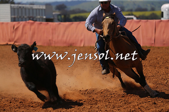 IllaboCampdraft2015_5284