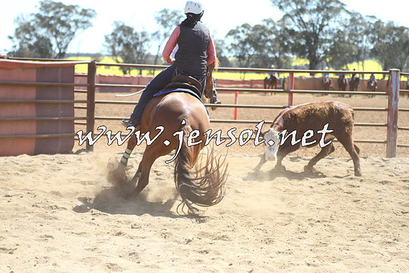 IllaboCampdraft2015_2009