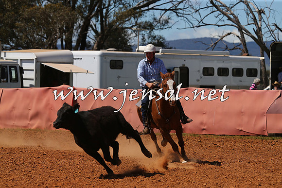 IllaboCampdraft2015_5303
