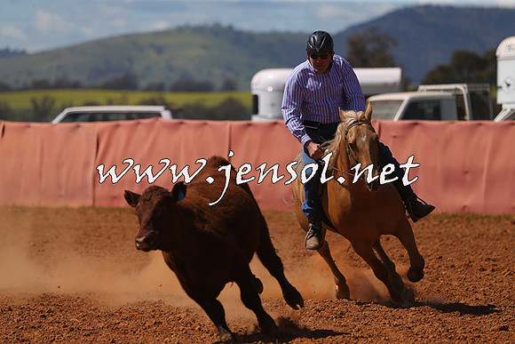 IllaboCampdraft2015_5323