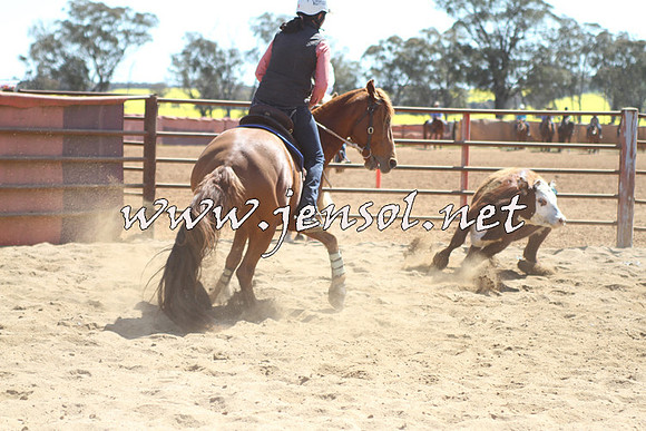 IllaboCampdraft2015_2008