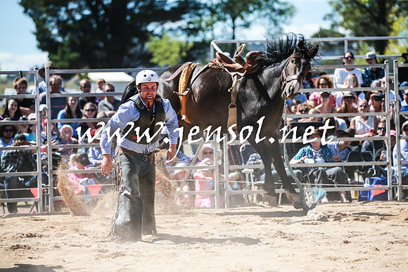 BraidwoodRodeo2016_2844