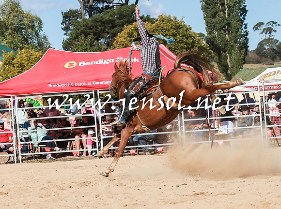 BraidwoodRodeo2016_3907